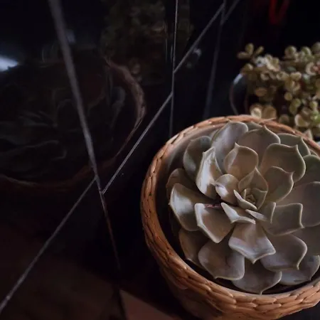 Apartamento Sp199 Flat By