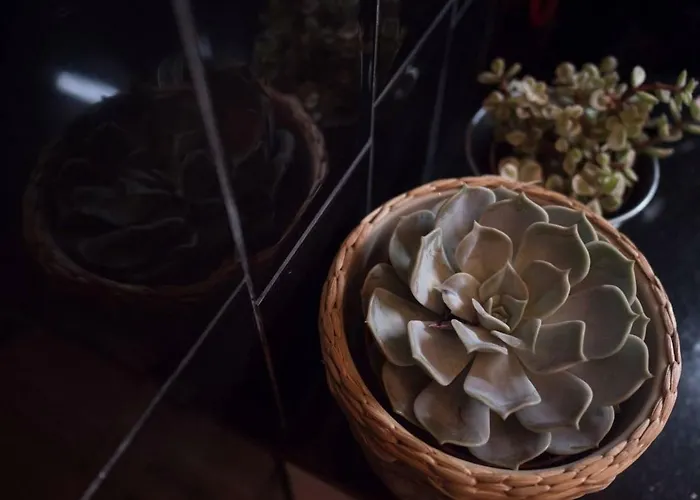 Apartman Sp199 Flat By